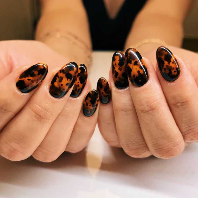 Tortoise Shell